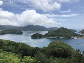 夏季休暇のお知らせ