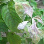 Thumbnail of related posts 071